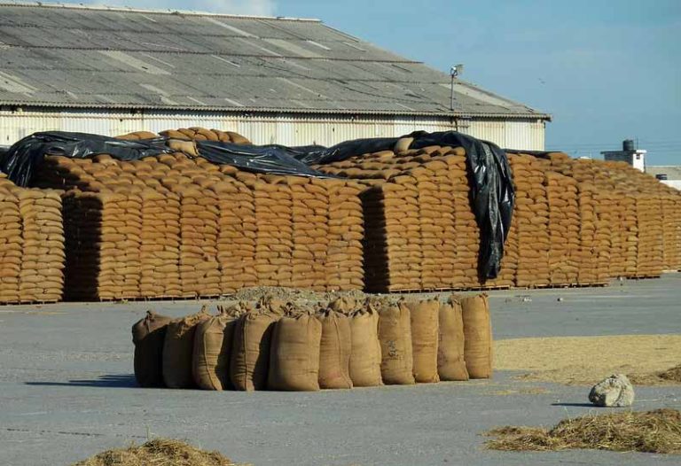 200 Mandis from 7 States added to e-NAM