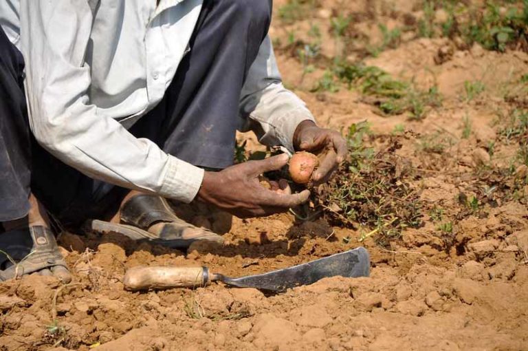 Increase use of organic & bio fertiliser as per recommendation of Soil Health card