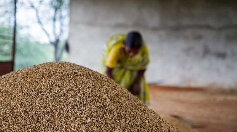 Cabinet approves Agriculture Infrastructure Fund