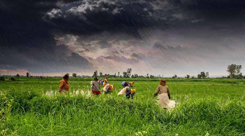 Monsoon likely to hit Kerala on 5th June: IMD