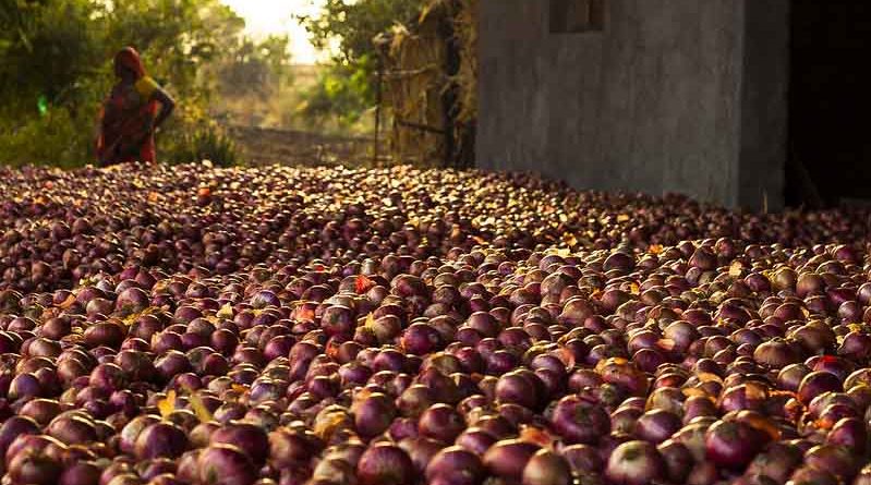 Onion