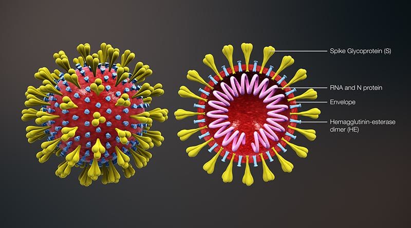 ICAR Corona Virus