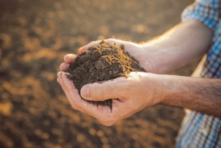Bayer to reward farmers adopting climate-smart practices