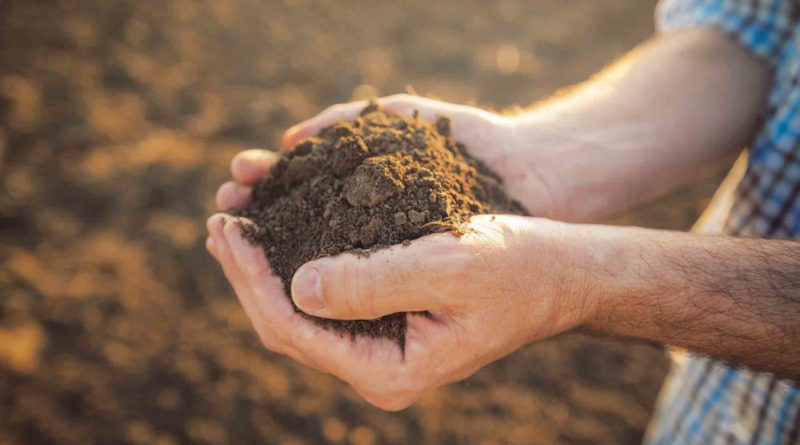 Bayer to reward farmers adopting climate-smart practices