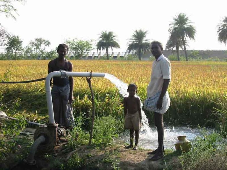 Haryana Government fixes per acre premium for four Major Kharif crops