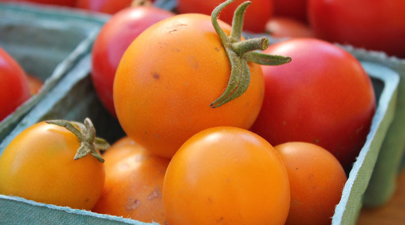 Haryana collaborates with Israel for Centre of Excellence for fruits & vegetables