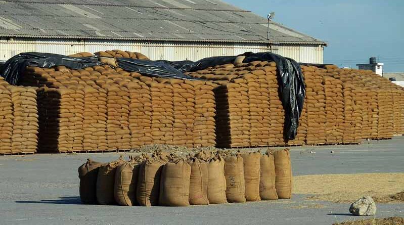 Haryana farmers satisfied with the crop procurement