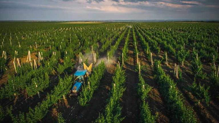Draft Order sends a wrong message to the Global Generic Pesticide Market