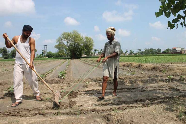 Punjab Govt extends deadline to bring farmers under health insurance
