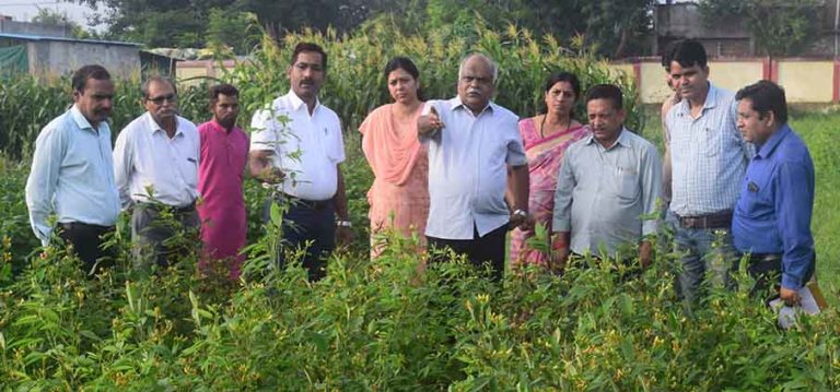 KVK Ujjain receives ICAR award for technological driven agriculture