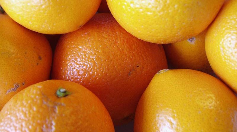 Punjab looking for investments from Japan for Agro Processing Sector