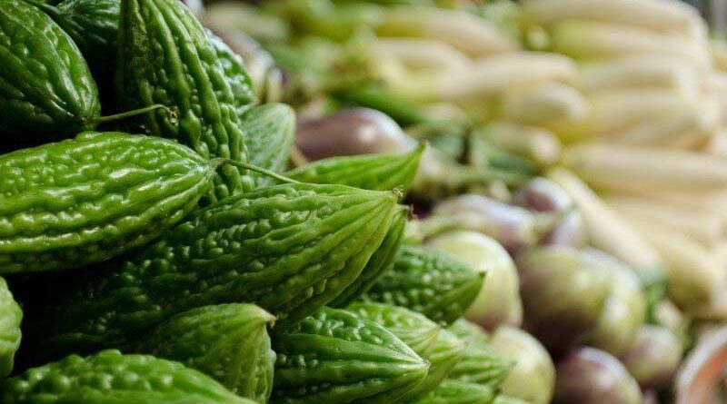 International Fruit and Vegetable Terminus being set up in Ganaur, Haryana