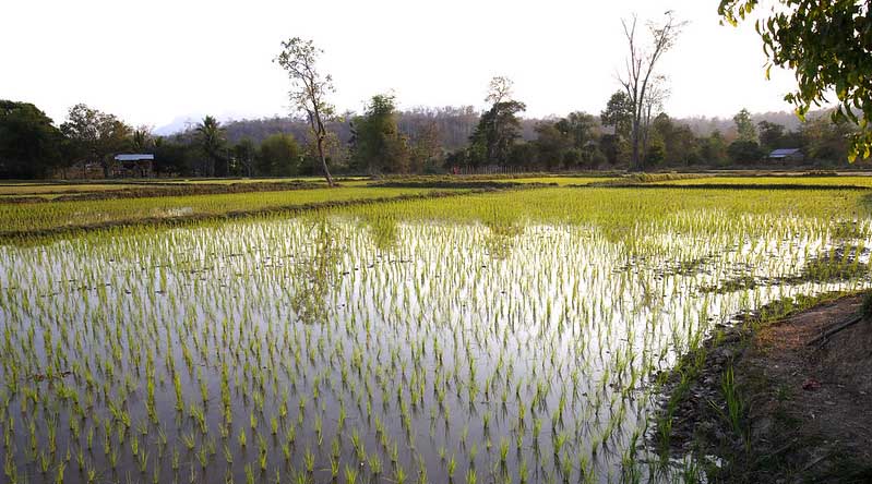 Haryana govt to submit Agriculture Infrastructure Development plan of Rs. 3170Cr