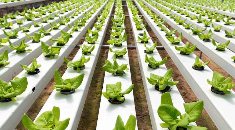 Agriculture Ministry to fund startups with a sum of 11.85 Cr
