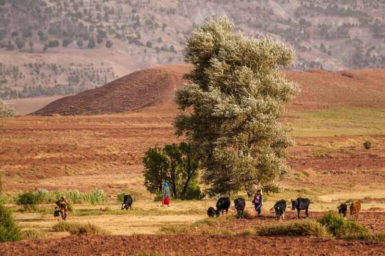 UNCCD along with partners launches Draught Risk Management for Souther Africa