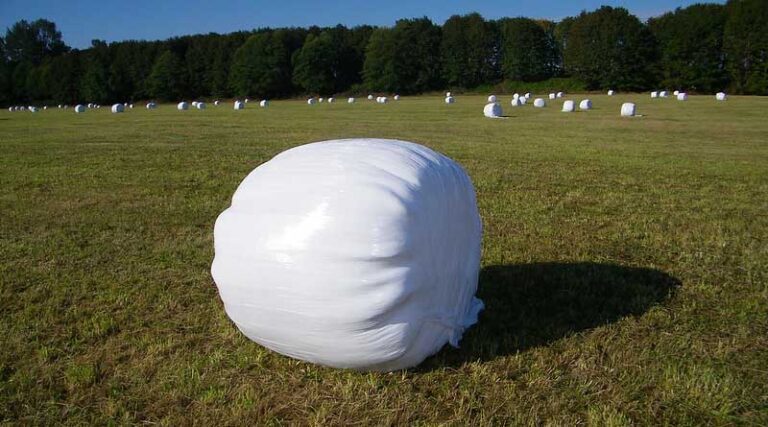 Punjab govt to provide 40 percent subsidy on Silage Baler cum wrapper machines