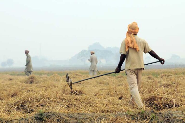 Punjab Govt to provide 23,500 paddy residue management machines