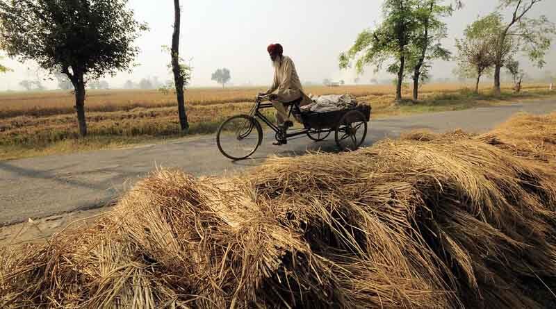 Haryana Government initiates field campaign to reduce stubble burning