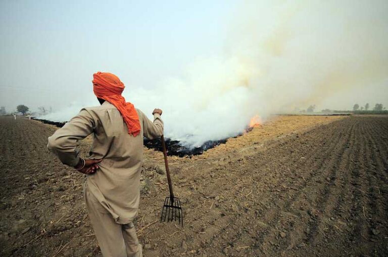 Haryana govt announces subsidy on crop residue management equipment