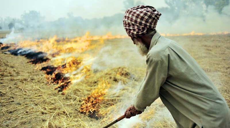 Haryana govt approves crop residue management plan of Rs 1304.95 Cr