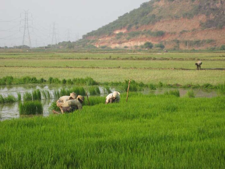 PM KISAN - Rs. 17,000 Crore to be released to more than 8.5 crore farmers