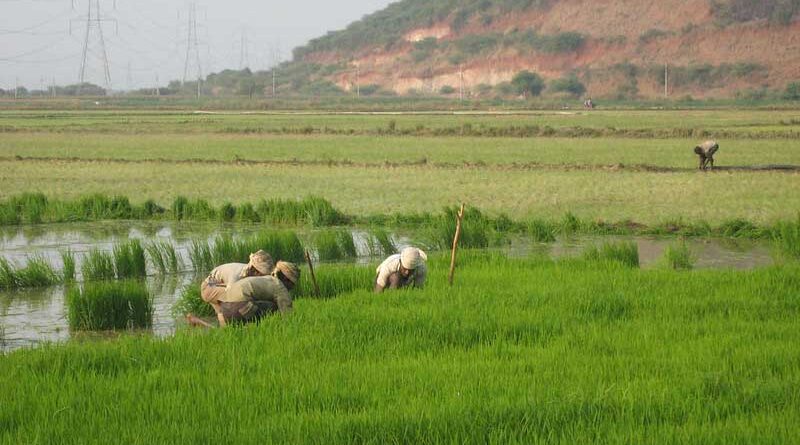 PM KISAN - Rs. 17,000 Crore to be released to more than 8.5 crore farmers
