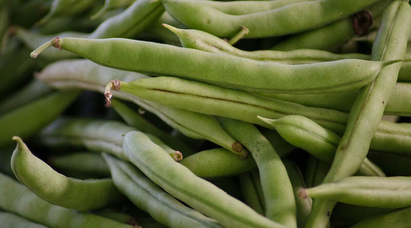 Haryana Agriculture Minister encourages farmers to sell their produce as vendors