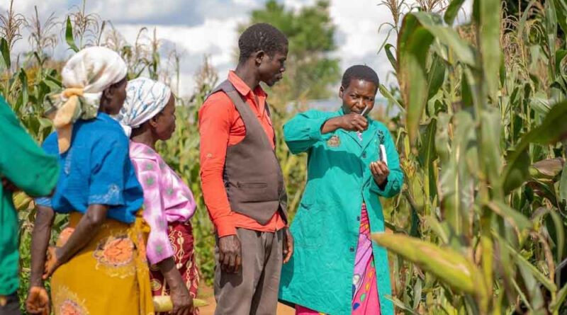CABI and ASARECA sign MoU to strengthen agricultural research for development