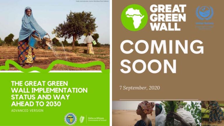 UNCCD to launch a Great Green Wall status report