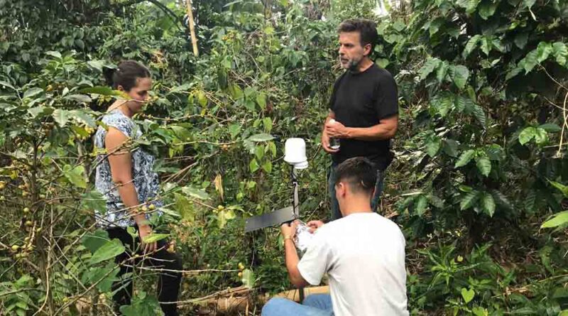 CABI helping Colombia’s coffee farmers tackle pest with remote sensing technology