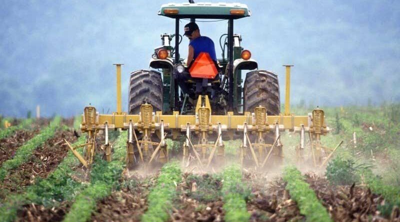 UK Government to cut red tape for farmers as they plan for 2021