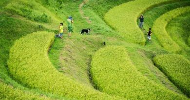 More export chances for winter crops