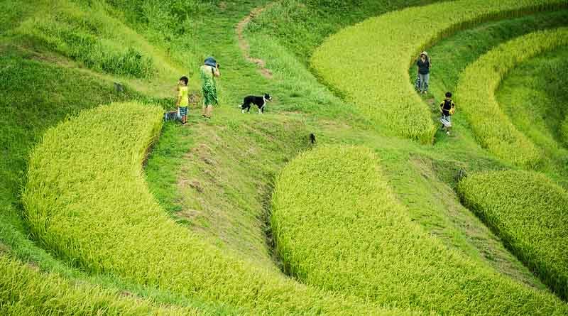 More export chances for winter crops