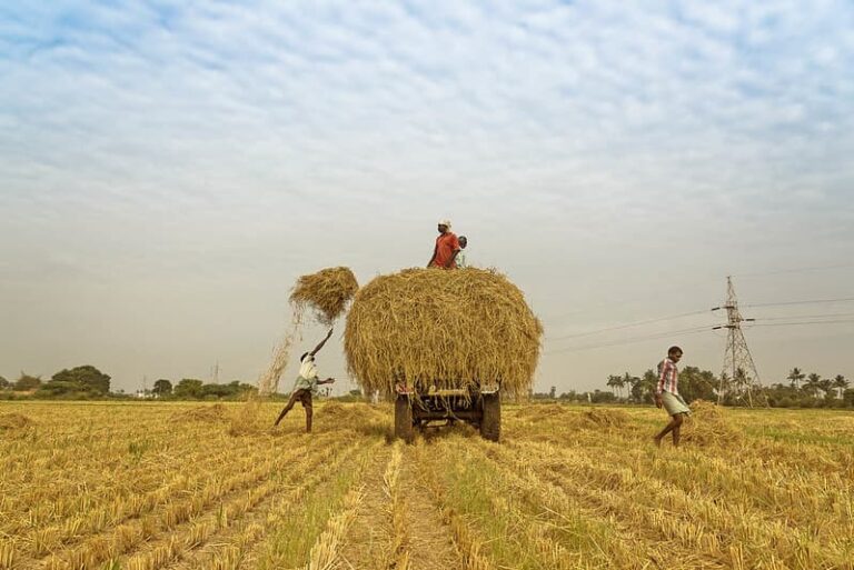 Urea is being provided to farmers at a statutory notified Maximum Retail Price :Shri Gowda