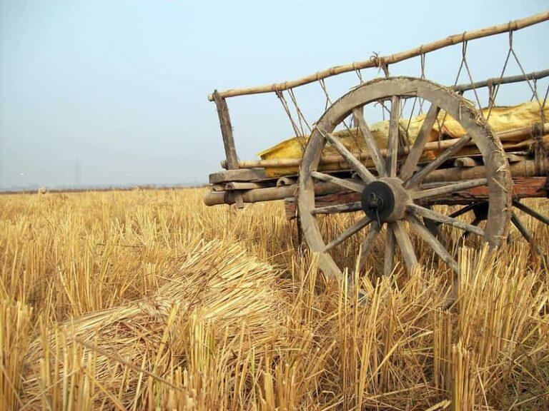 Political clash in Punjab on agrarian ordinances