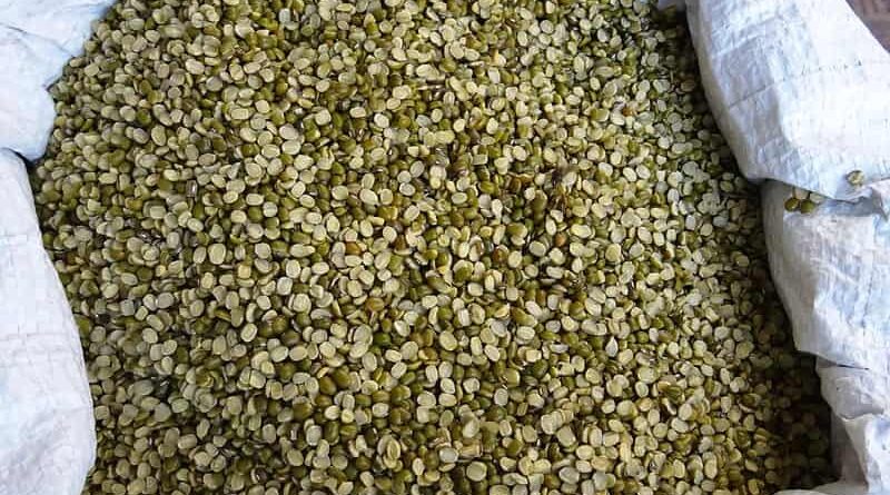Haryana to implement price support scheme scheme for Moong for Kharif 2020-21