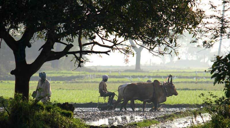 Haryana Government will protect the interest of farmers
