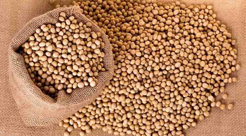 CABI Working in partnership to help 30,000 farmers in Kenya reap improved soybean harvests