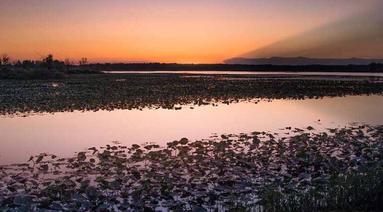 Assistance to Gujarat farmers for crop loss will be paid on SDRF basis