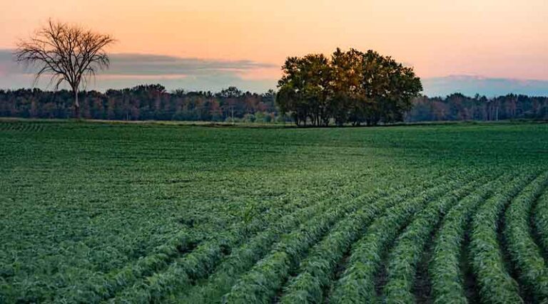 Haryana government shares deadline for crop registration