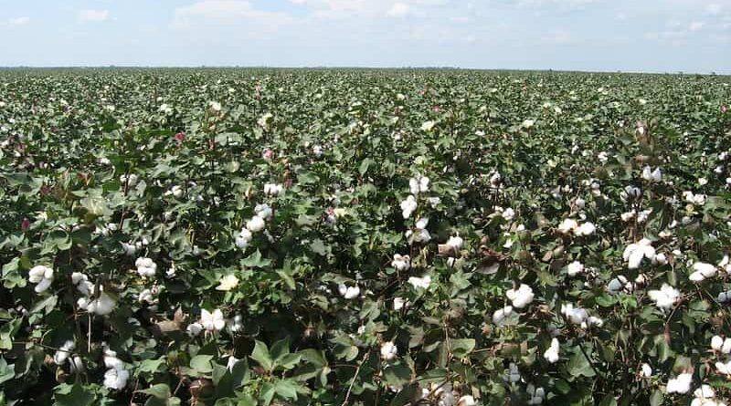 First Advance Estimates of Production of major Kharif crops for 2020-21 released