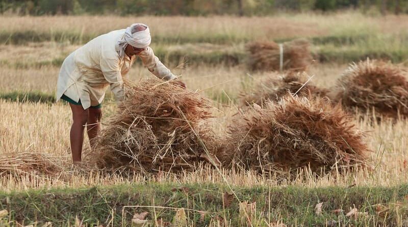 Bills aimed at transforming agriculture in India cleared by Lok Sabha
