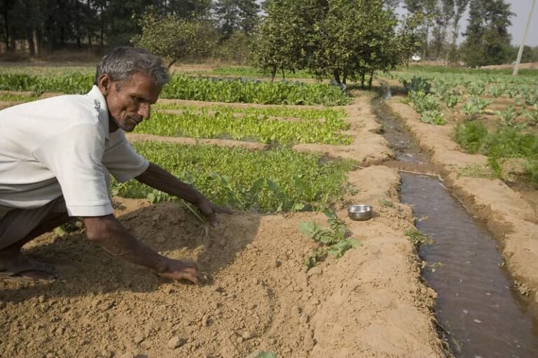 Three bills aimed at transformation of agriculture and raising farmers’ income introduced in Lok Sabha