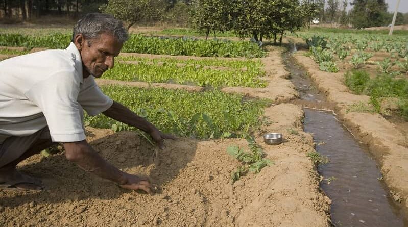 Three bills aimed at transformation of agriculture and raising farmers’ income introduced in Lok Sabha