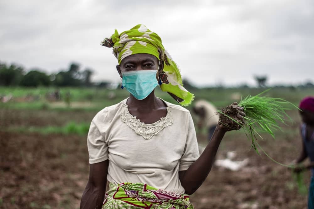 New research highlights impact of COVID-19 on food security in Kenya ...