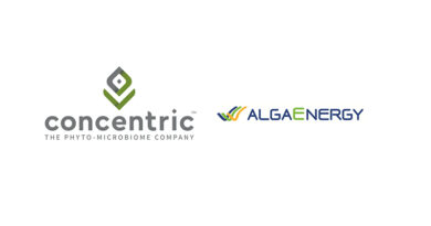 AlgaEnergy and Concentric Ag enter into distribution and product development agreements