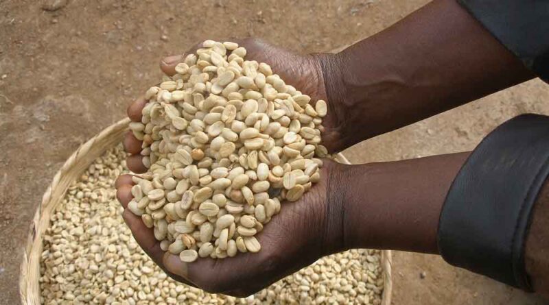 Building the post COVID-19 resilience for Africa’s coffee sector