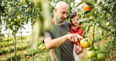 Corteva to launch new organic insecticide to Australian market