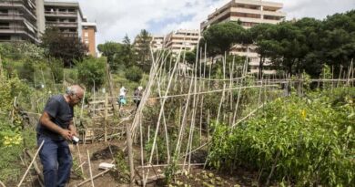 FAO launches Green Cities Initiative to help transform agri-food systems