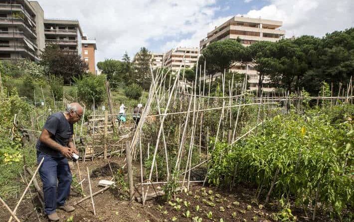 FAO launches Green Cities Initiative to help transform agri-food systems